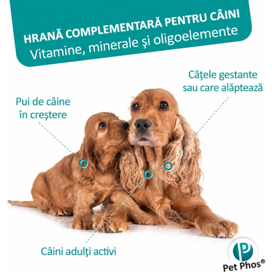 Pet Phos Croissance Junior Ceva – Supliment Vitamino-Mineral pentru Câini în Creștere – 100 Tablete